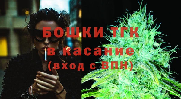 меф Вяземский