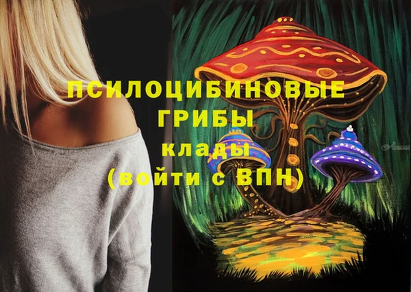 амф Вязники