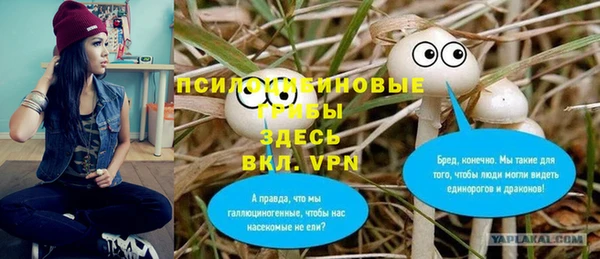 меф Вяземский