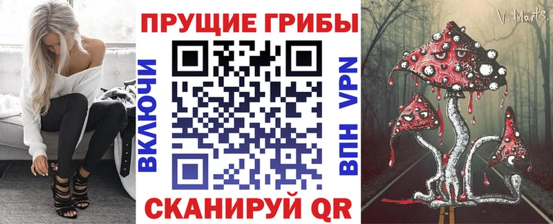 Псилоцибиновые грибы мицелий  магазин  наркотиков  Севастополь 